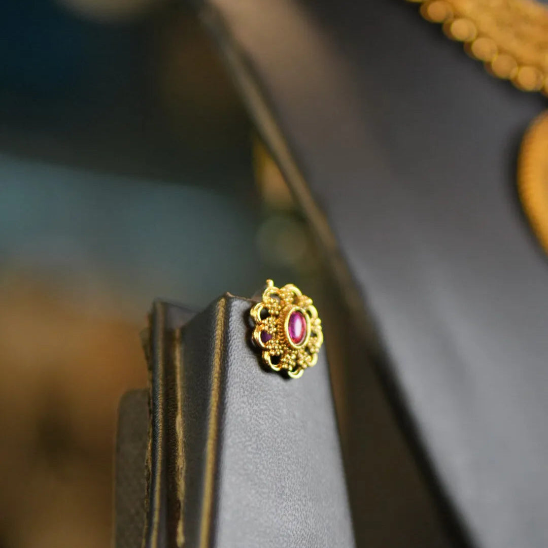 Close-up of a shoe with a decorative gold and red brooch on a blurred background